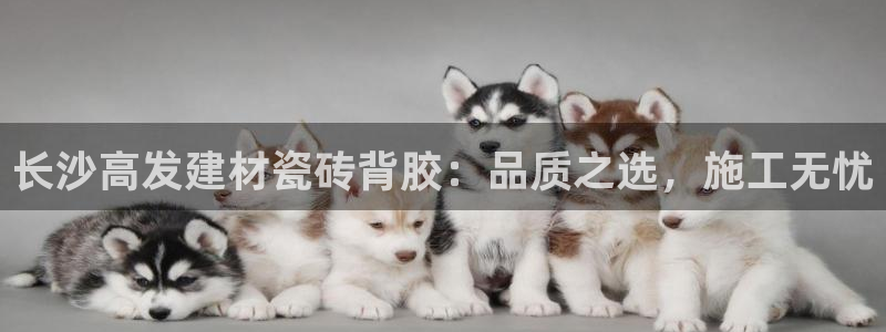 杏鑫平台平台