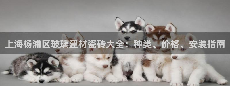 杏鑫官方app代理