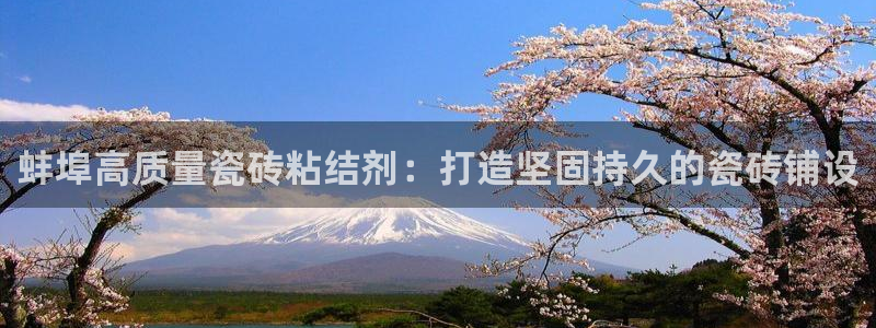 杏鑫平台注册地址在哪里