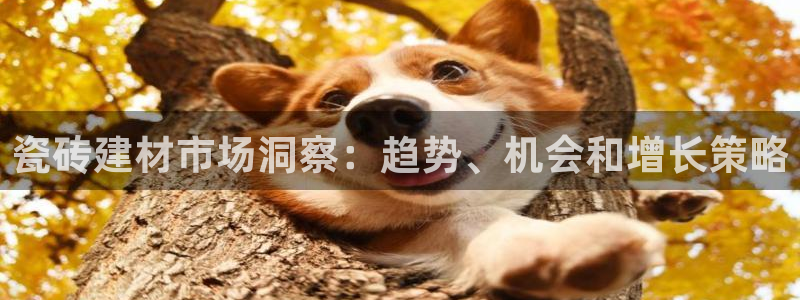 杏鑫平台注册网址查询