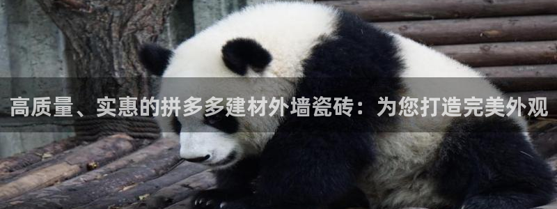杏鑫官网最新信息