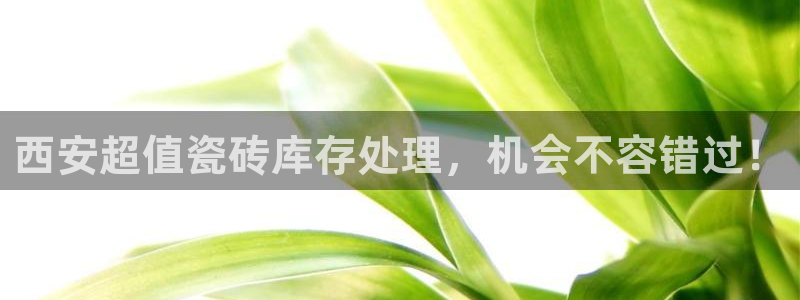杏鑫平台正规吗是真的吗