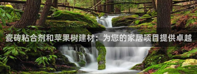 杏鑫官方平台怎么样啊知乎