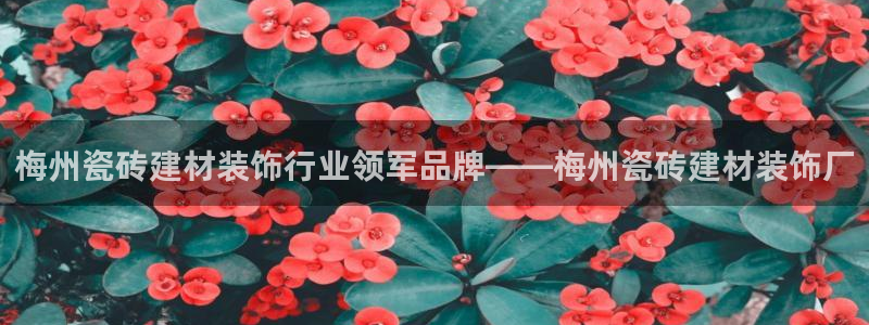 杏鑫娱乐测速