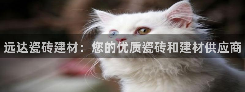 杏鑫注册登录地址