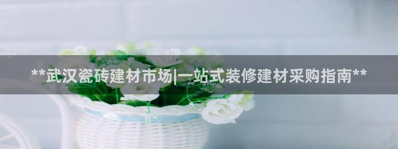 杏鑫平台是黑平台吗
