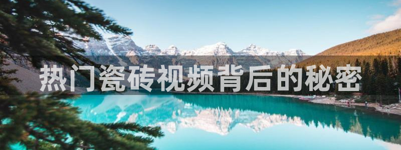 杏鑫平台登录地址是什么