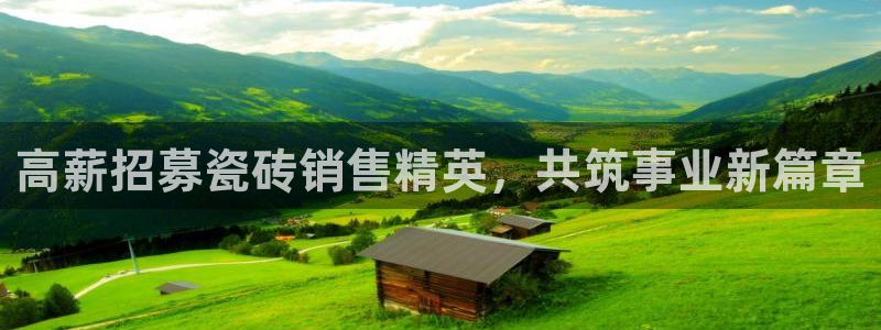 杏鑫平台怎么样知乎