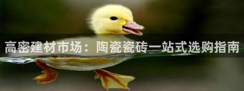 杏鑫官网注册账号密码