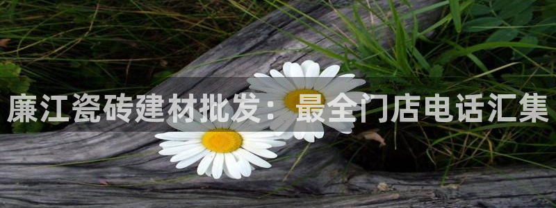 杏鑫平台注册入口在哪里找