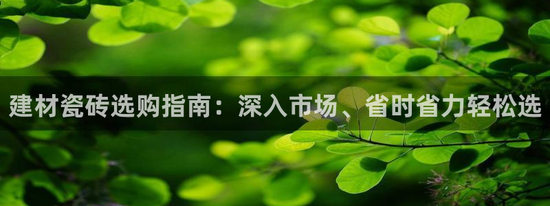 杏鑫平台代理