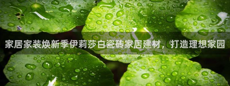 杏鑫平台招商电话号码