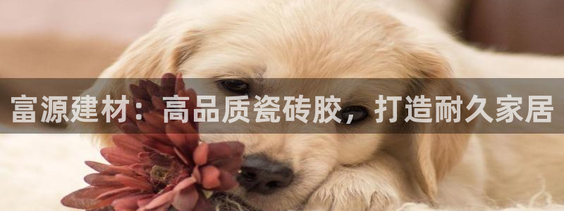 杏鑫平台平台