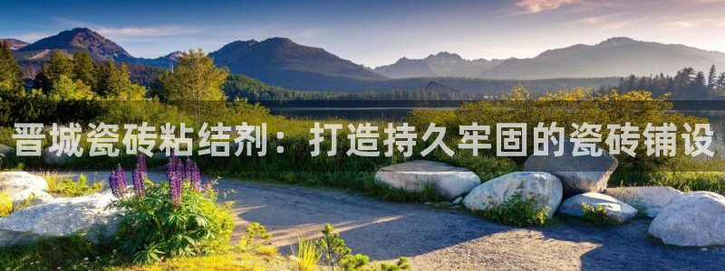 杏鑫平台野马联盟怎么样