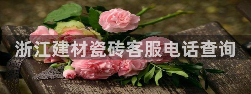 杏鑫官方平台怎么样啊