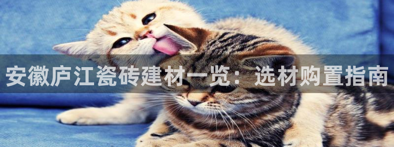 杏鑫平台官方网站