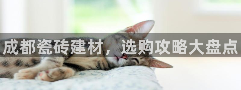 杏鑫登录测速