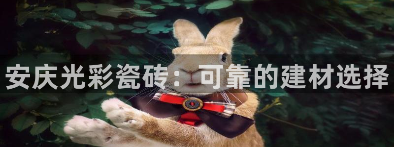 杏鑫平台代理怎么样
