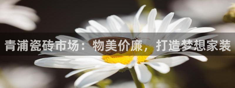 杏鑫平台提供