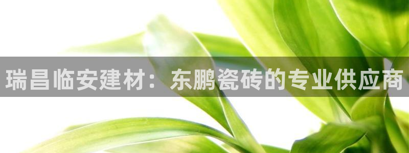 杏鑫注册登录地址