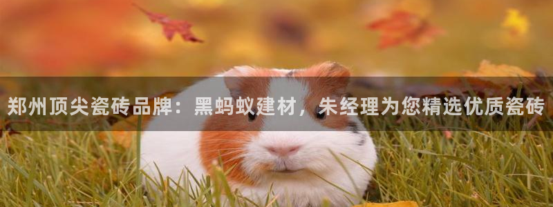杏鑫登录测速