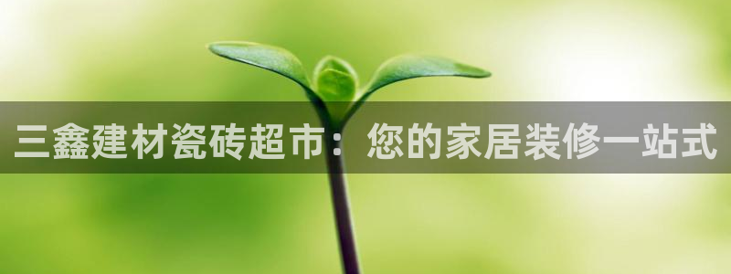 杏鑫平台代理注册流程视频
