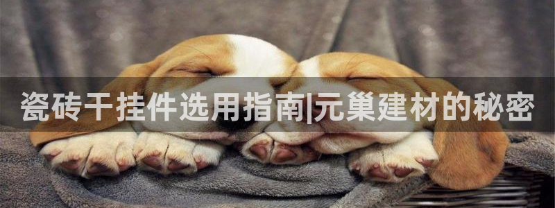 杏鑫平台怎么样黑钱吗是真的吗还是假的