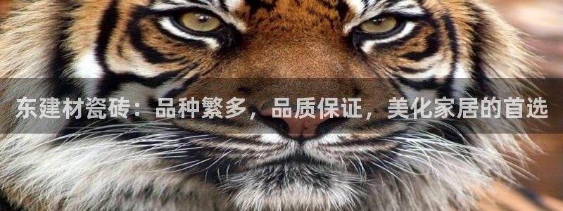 杏鑫平台怎么样黑钱吗是真的吗知乎