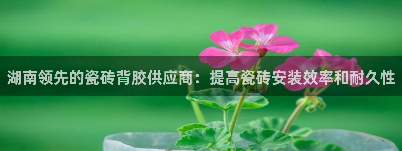 杏鑫平台招商怎么样可靠吗