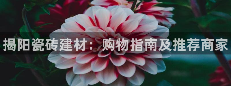 杏鑫平台测速怎么样