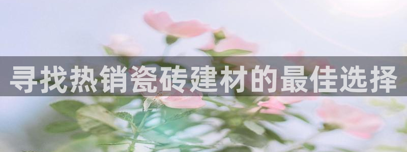 杏鑫平台代理注册多少钱啊