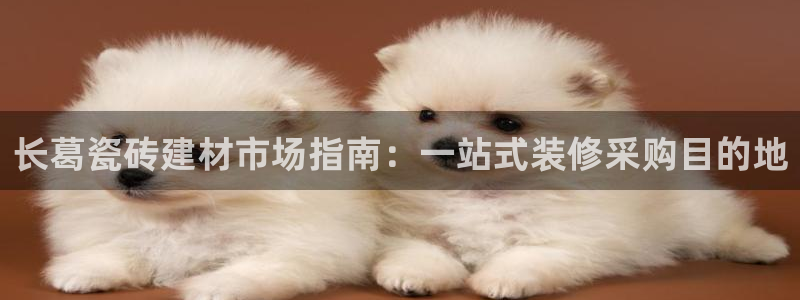 杏鑫平台代理怎么样啊