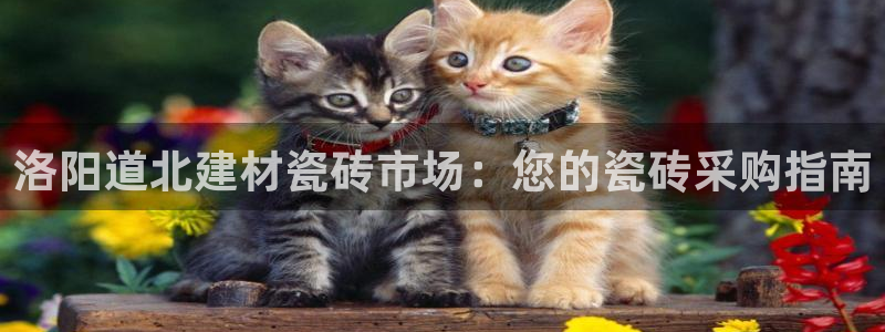 杏鑫平台待遇