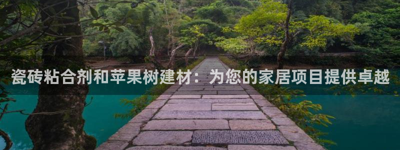 杏鑫平台代理注册流程