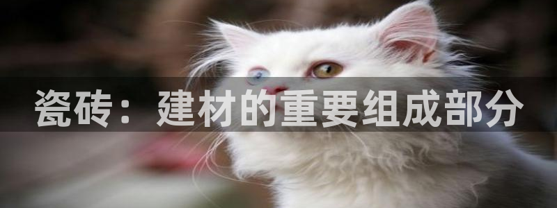 杏鑫娱乐平台测速