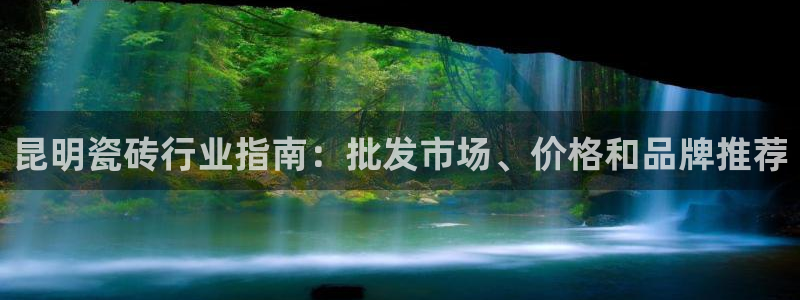 杏鑫平台代理注册登录不了怎么办呀苹果