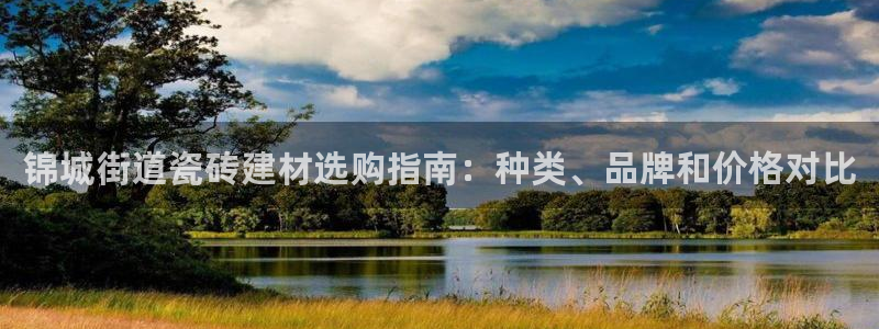 杏鑫手机客户端