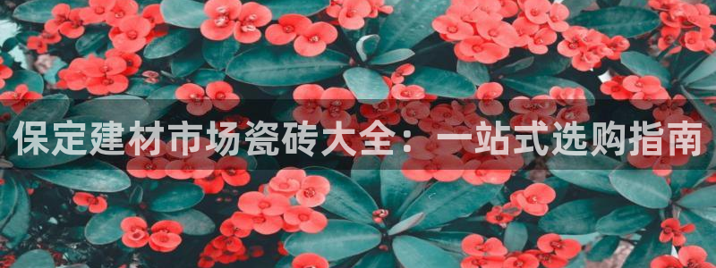 杏鑫平台代理怎么样赚钱