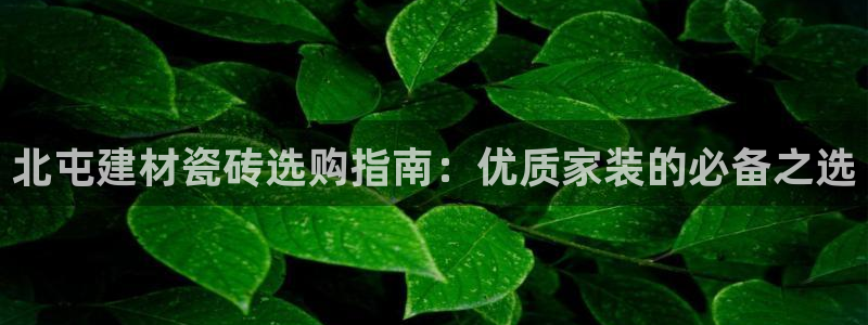 杏鑫官网注册账号密码