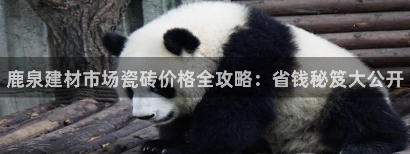 杏鑫娱乐官方网站客户端下载安装