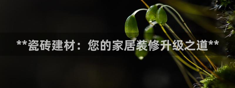 杏鑫平台号7O777