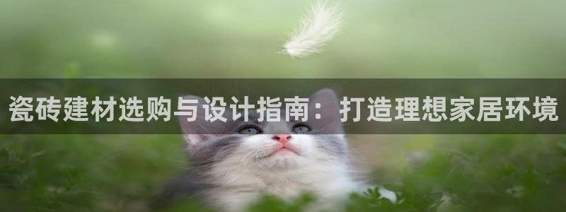 杏鑫娱乐平台测速怎么样