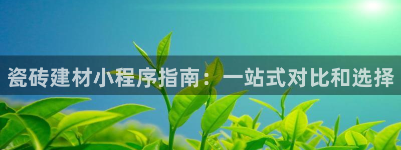 杏鑫官方平台怎么样啊安全吗