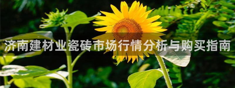 杏鑫主管