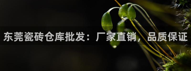 杏鑫平台代理注册