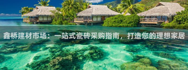 杏鑫官方平台怎么样啊