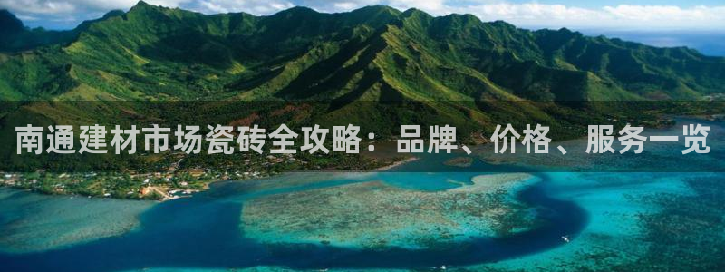 杏鑫招商总代