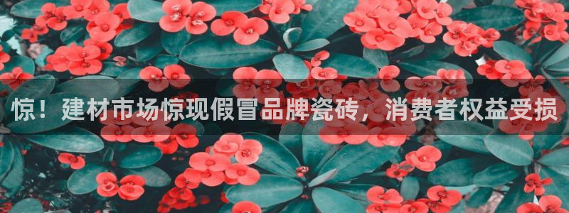 杏鑫平台待遇
