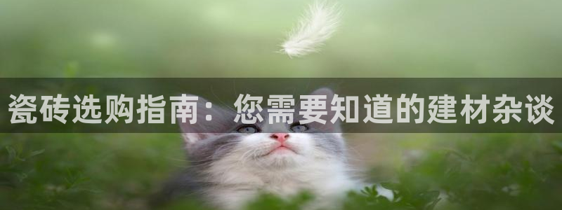 杏鑫平台代理怎么做