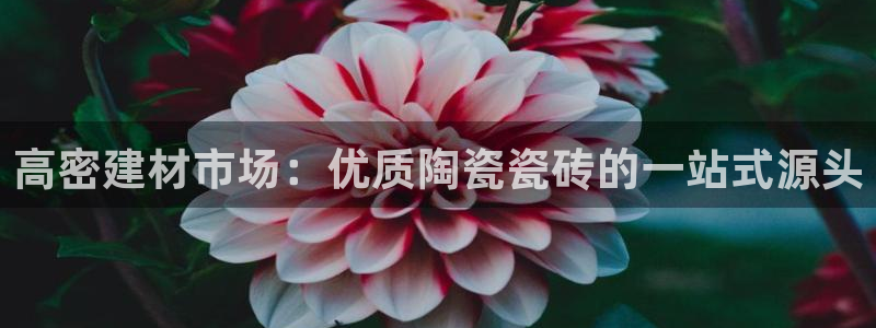杏鑫平台招商电话